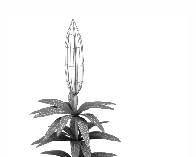 Bud Wireframe